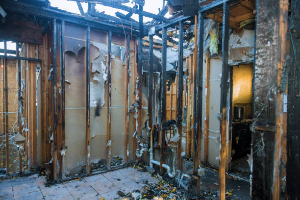 Professional Fire Damage Removal technician working in Herald Harbor, MD